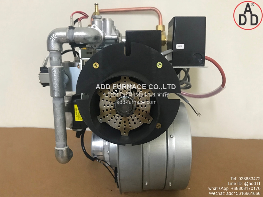 Pilot Burner TS-8N (4)